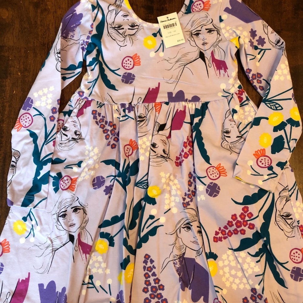 Hanna Andersson Frozen 2 dress